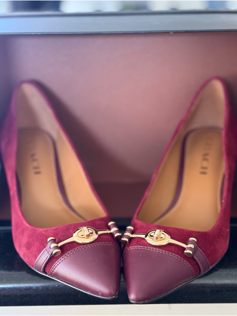 Coach Lauri Lux Suede Pumps Burgundy - Picture 6 of 9